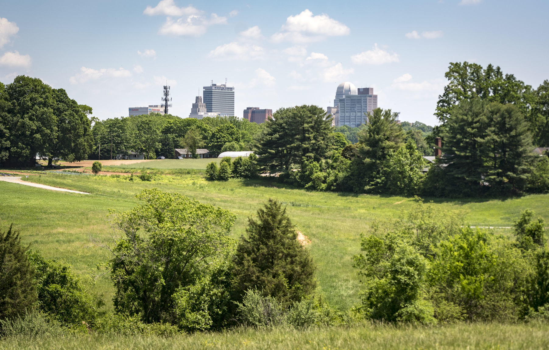 Easement